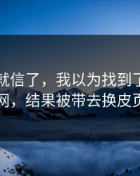 我差点就信了，我以为找到了开云官网，结果被带去换皮页
