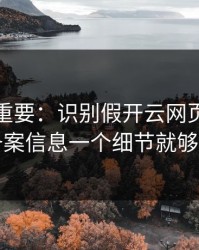 冷门但重要：识别假开云网页其实看备案信息一个细节就够了