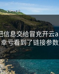 我差点把信息交给冒充开云app的人，幸亏看到了链接参数