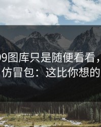 我以为99图库只是随便看看，结果差点装了仿冒包：这比你想的更重要