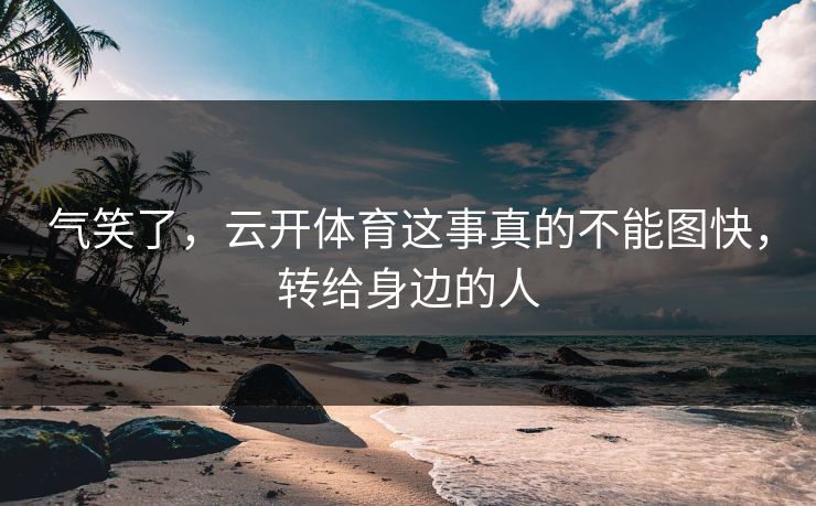 气笑了，云开体育这事真的不能图快，转给身边的人