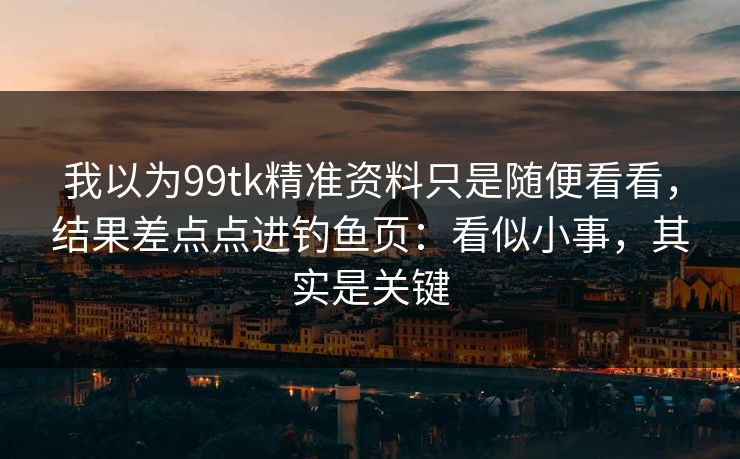 我以为99tk精准资料只是随便看看，结果差点点进钓鱼页：看似小事，其实是关键