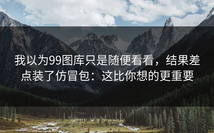 我以为99图库只是随便看看，结果差点装了仿冒包：这比你想的更重要